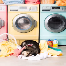 Adalar İkinci El Beyaz Eşya Alan Yerler